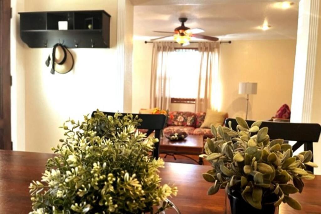 House Close To Downtown, Airport, Raymond James Stadium, And Many More Places Tampa Exterior photo